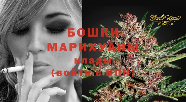 гидра Надым