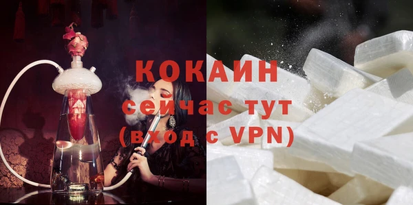 гидра Надым
