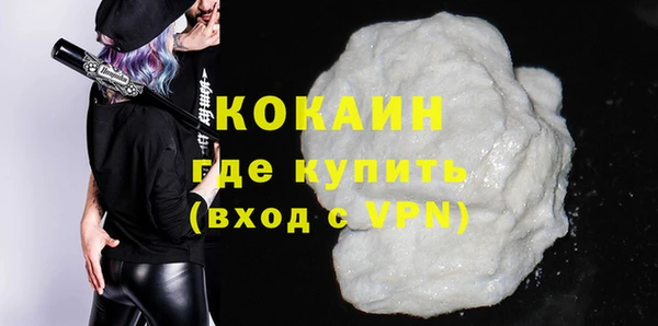 гидра Надым