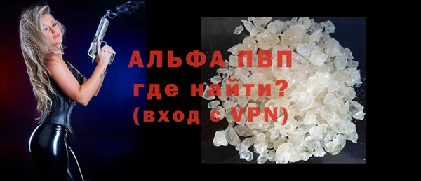 гидра Надым