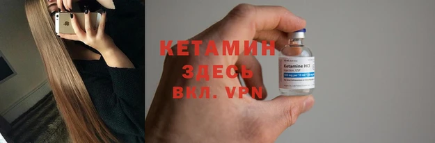 крисы Нея