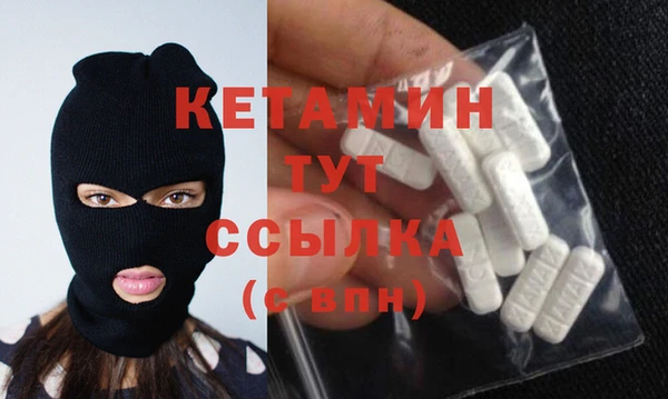 гидра Надым