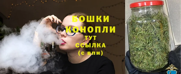 гидра Надым