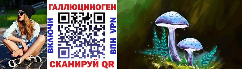 купить наркотик  Люберцы  Псилоцибиновые грибы мицелий 