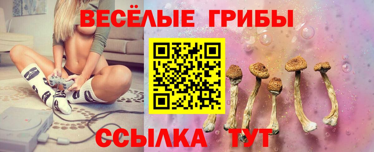 Галлюциногенные грибы Cubensis Люберцы