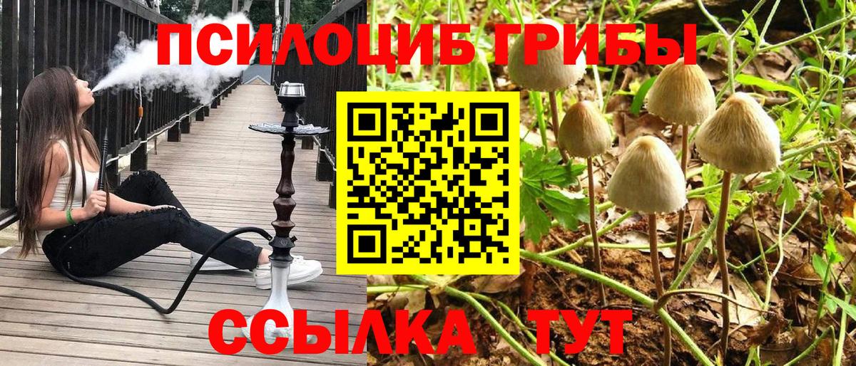 Псилоцибиновые грибы ЛСД  Вход с VPN  Люберцы  Галлюциногенные грибы Magic Shrooms 