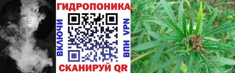 Бошки Шишки конопля  ссылка на мегу как зайти  Люберцы 